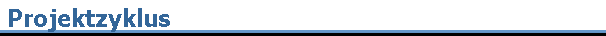 Projektzyklus